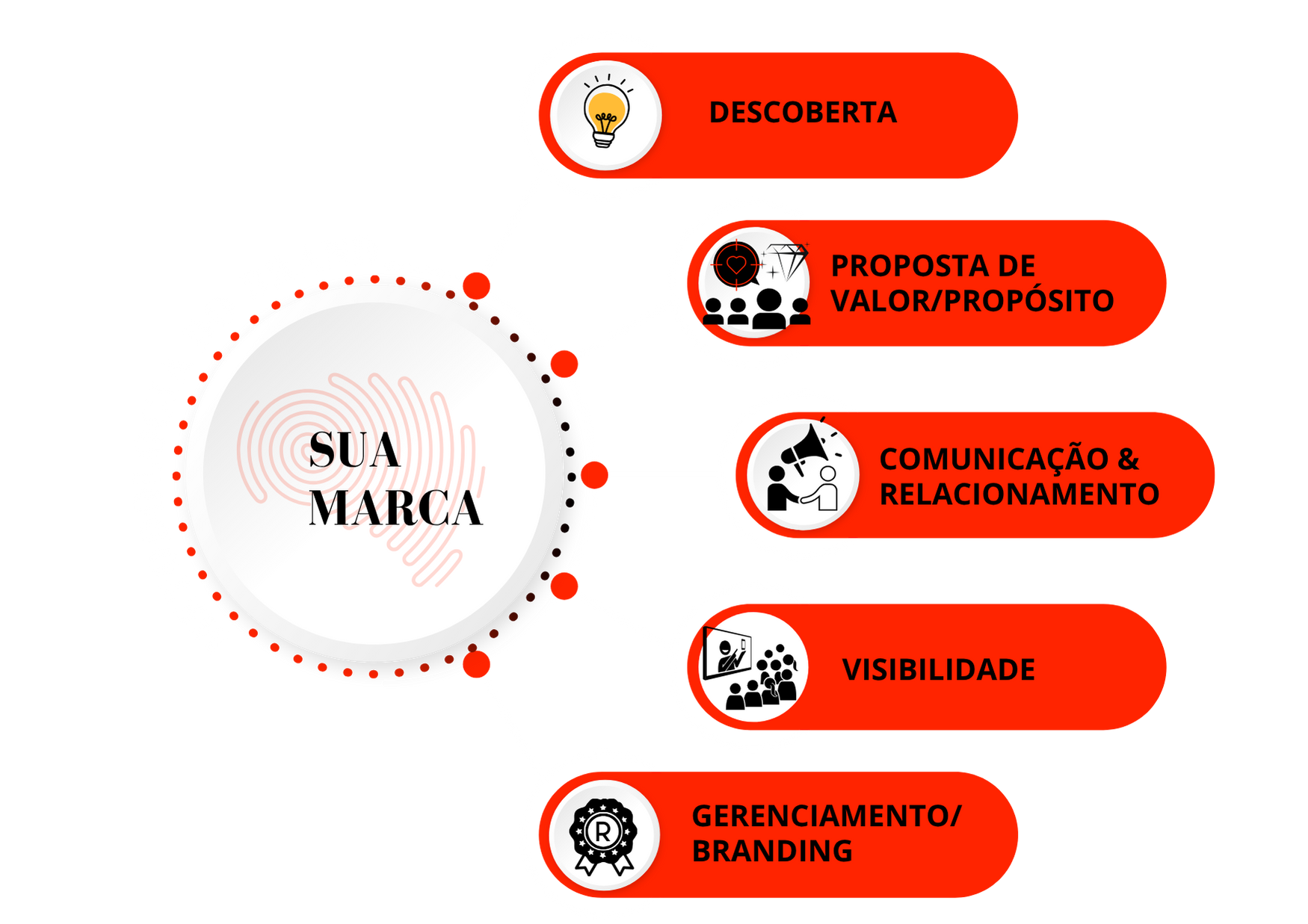 Metodologia Do Brand